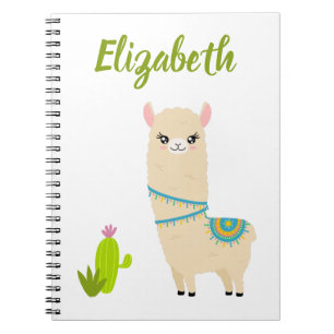 Customisable Llama Notebook