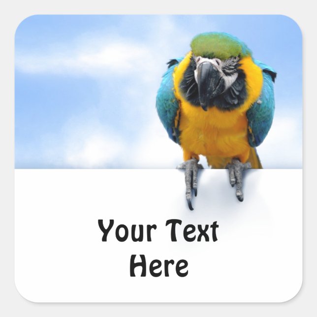 Customisable Macaw Square Sticker (Front)