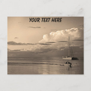 Customisable Monkey Mia, Western Australia Postcard