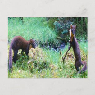 Customisable Mr & Mrs Pine Marten Greeting Card