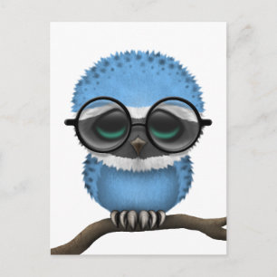 Customisable Nerdy Botswana Baby Owl Chic Postcard
