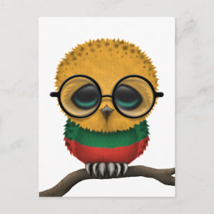 Customisable Nerdy Lithuanian Baby Owl Chic Postcard