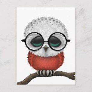 Customisable Nerdy Polish Baby Owl Chic Postcard