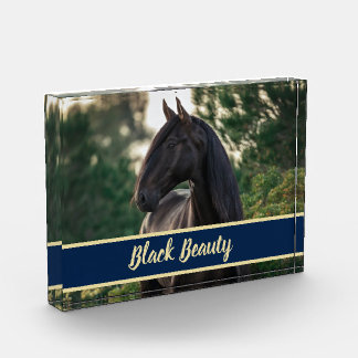 Customisable/Personalised Horse Photo w/ Show Name