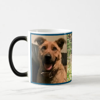 Customisable Pet morphing mug