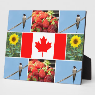 Customisable photo collage & Flag of CANADA Plaque