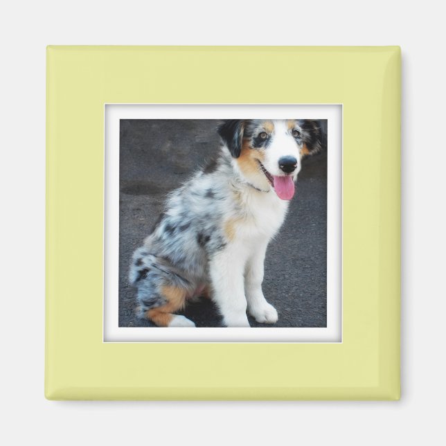 Customisable Photo Frame Magnet (Front)