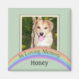 Customisable Photo Pet Memorial (Green) Magnet