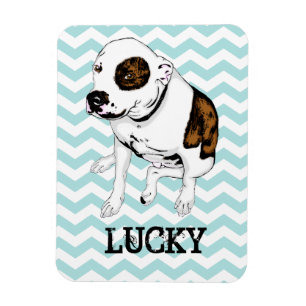 Customisable Pit Bull Teal Chevron Fridge Magnet