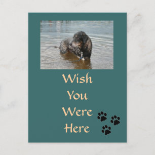Customisable Postcard
