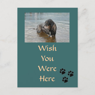 Customisable Postcard