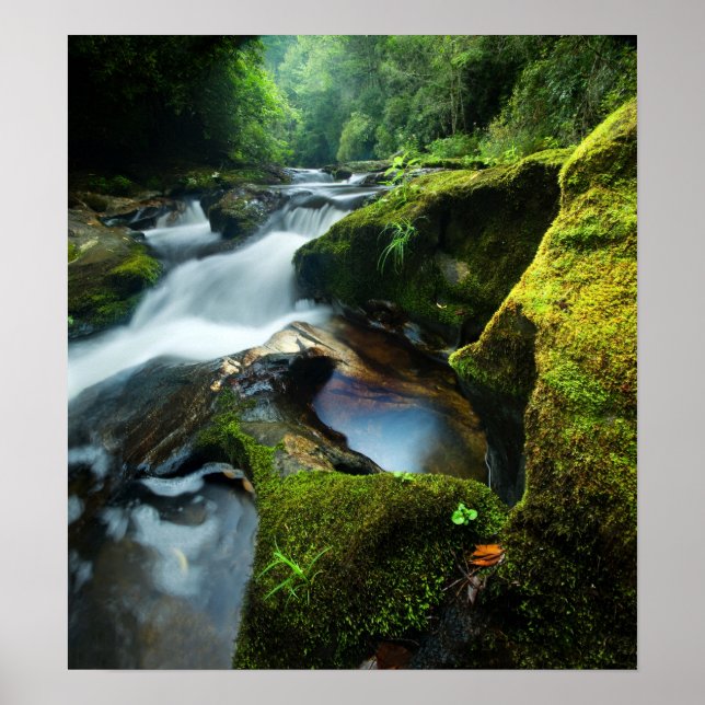 Customisable Poster: Chattooga River Waterfall Poster (Front)
