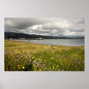 Customisable Poster: Half Moon Bay in Spring Poster