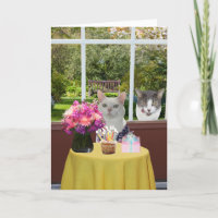 Customisable Pretty Cat Female Photobomb Birthday