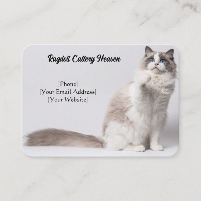 Customisable Ragdoll Cattery Business Card (Front)
