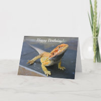 Customisable Rainbow Bearded Dragon