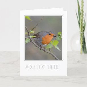 CUSTOMISABLE "ROBIN REDBREAST" GREETING CARD