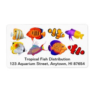 Customisable Saltwater Marine Aquarium Fish Label