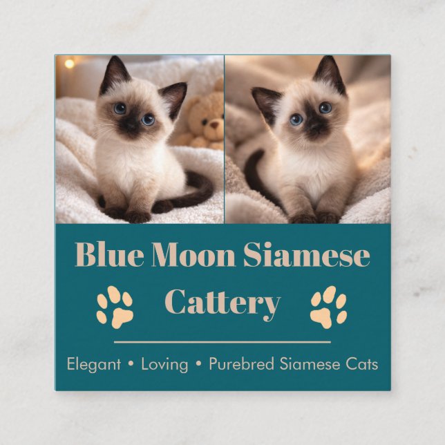 Customisable Siamese Cattery Business Card  (Front)