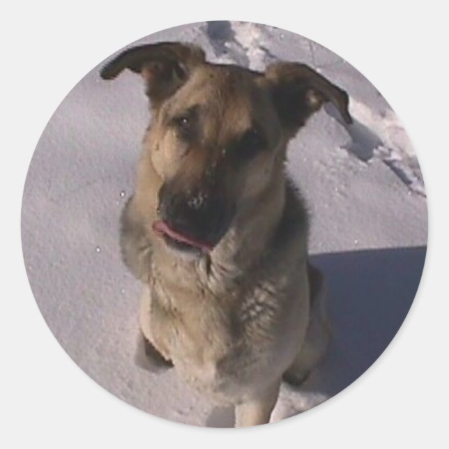 Customisable Sticker (Front)