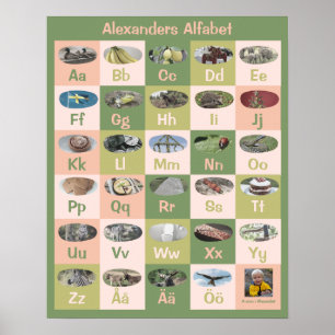 Customisable Swedish Alphabet Poster
