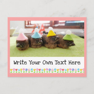 Customisable Text Cute Baby Bird Finch Finches Postcard