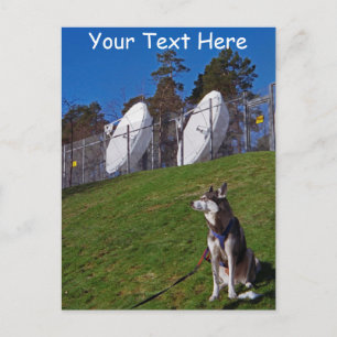 Customisable tracker dog postcard