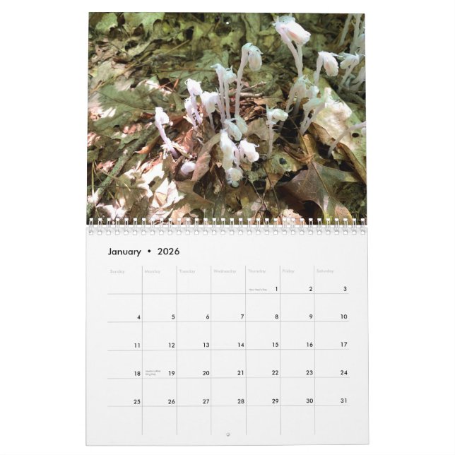 Customisable Two Page Medium Photo Calendar (Jan 2026)