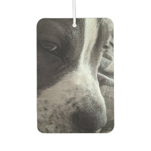 Customisable Two-Sided Photo Air Freshener