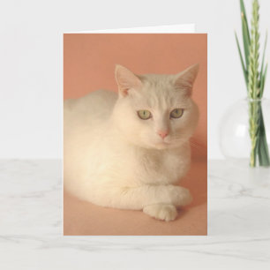 Customisable Valentine Cats Holiday Card