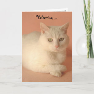 Customisable Valentine Cats Holiday Card