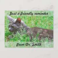 Customisable Veterinary Checkup Reminder