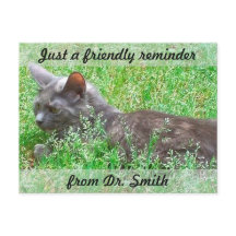 Customisable Veterinary Checkup Reminder