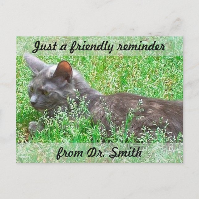 Customisable Veterinary Checkup Reminder Postcard (Front)