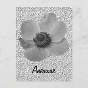 Customisable Vintage Anemone Postcard