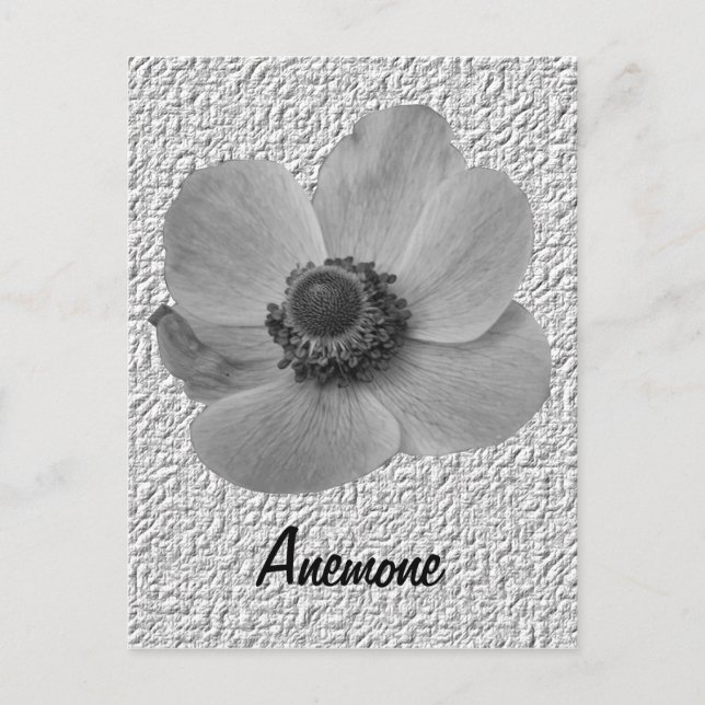 Customisable Vintage Anemone Postcard (Front)