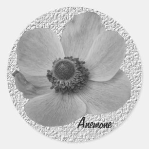 Customisable Vintage Anemone Sticker
