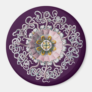 Customisable Vintage Haeckel Magnet