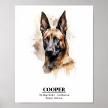 Customisable Watercolor Painting of Malinois