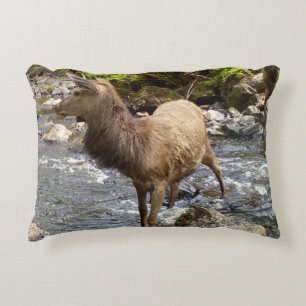 Customisable Young Red Deer Stag Crossing a Burn Decorative Cushion