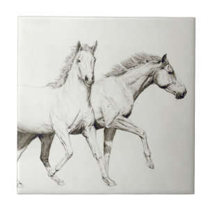 Customise a Horse Ceramic Tile