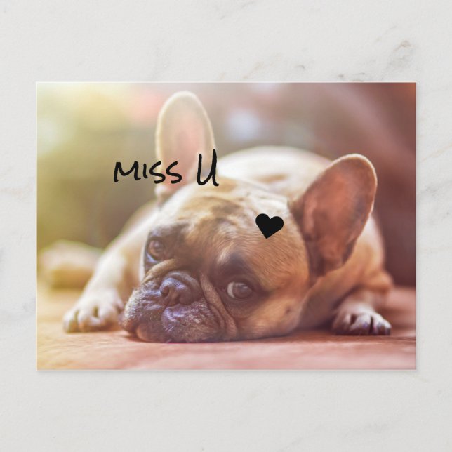 Customise Cute Doggy Postcard (Front)