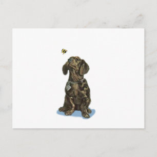 Customise Dachshund and bee vintage art gifts Postcard