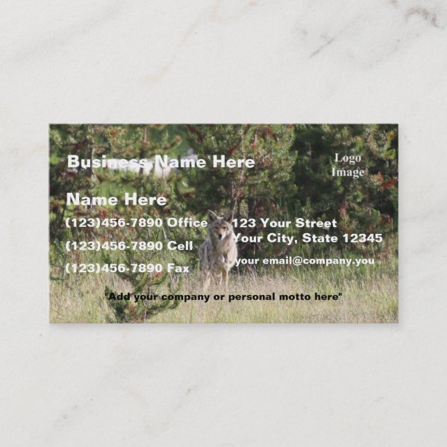 (Customise) Nice Coyote photo in Yellowstone Business Card (Front)