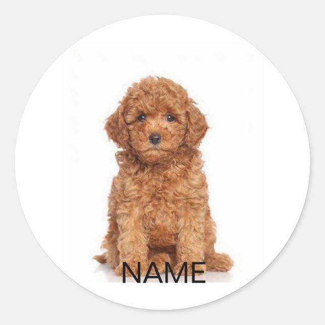 Customise personalise with photo & name classic round sticker (Front)