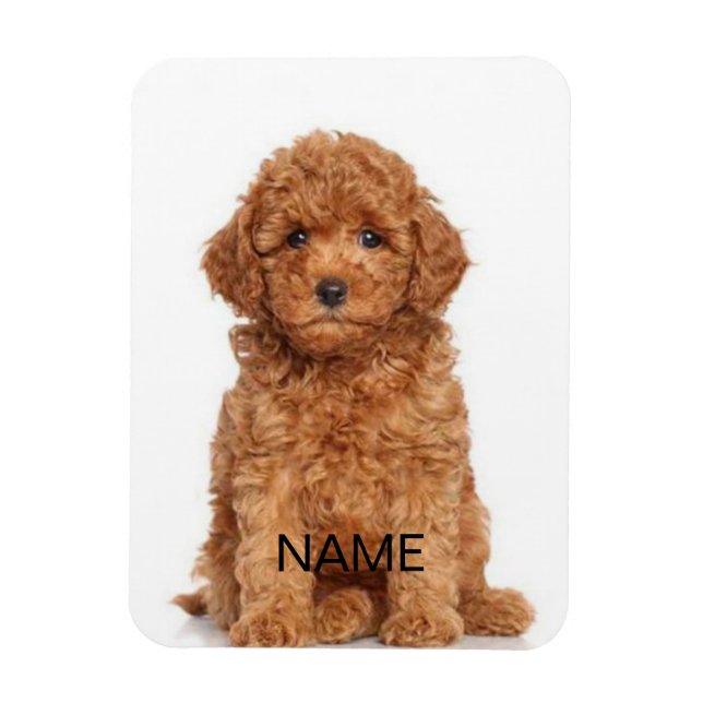 Customise personalise with photo & name magnet (Vertical)