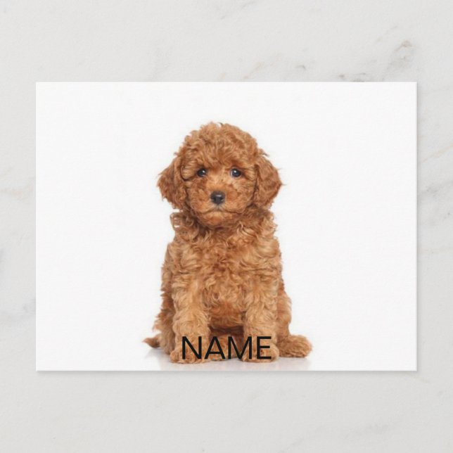 Customise personalise with photo & name postcard (Front)