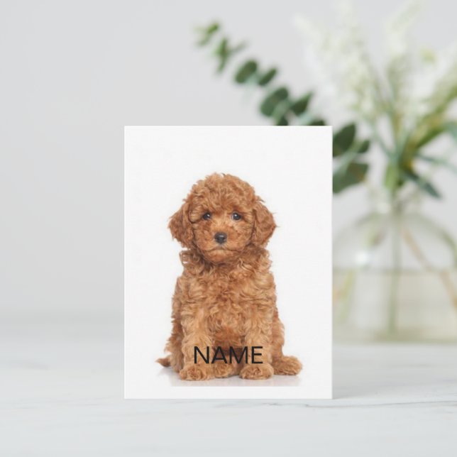 Customise personalise with photo & name postcard (Standing Front)