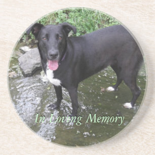 customise personalised photo sandstone coaster