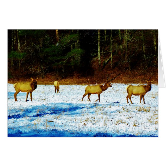 Customise Product (Front Horizontal)